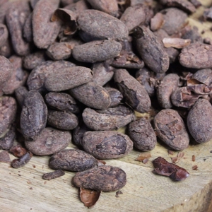 Fèves de Cacao Torréfiées Bio - Pérou