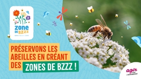 Préservons les abeilles en créant des Zones de Bzzz !