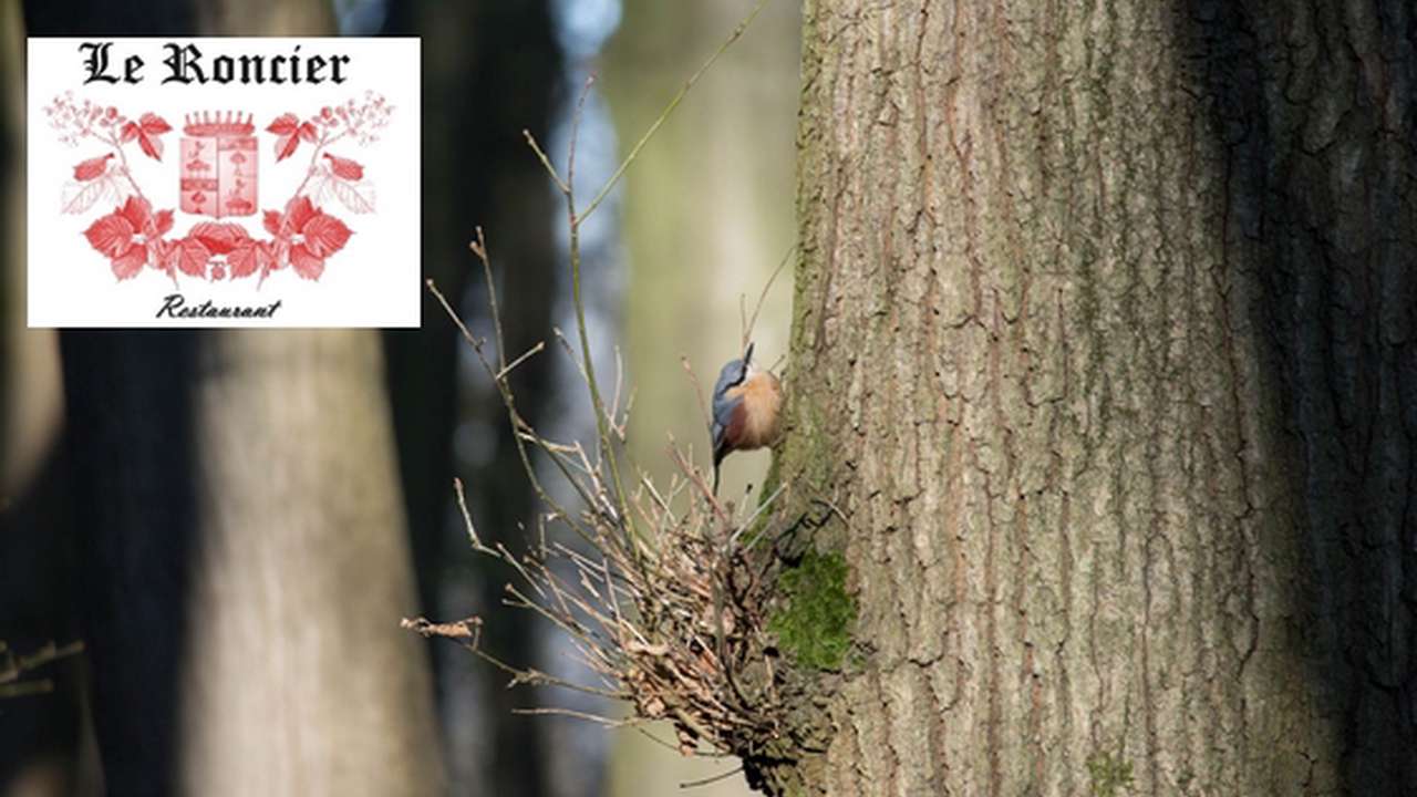 Le Roncier Ulule