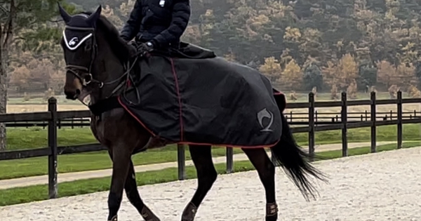 Sac à Dos Imperméable Pour Cheval – Protection Arrière Longue Queue HLFQ