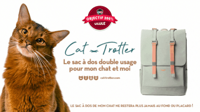 Cat Trotter Le Sac A Dos Pour Mon Chat Et Moi Ulule