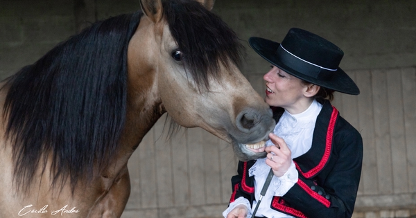 Le Domaine des Ecuyers, spectacles équestres