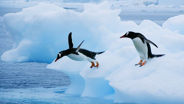 Résultat de recherche d'images pour "image de l'antarctique"