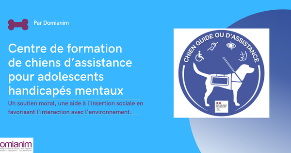 Cordon D’assistance Pêche Owner PFZ-05 – Noyau Creux PE, 5 M, Résistance 140 Lb – Pour Montage Appât