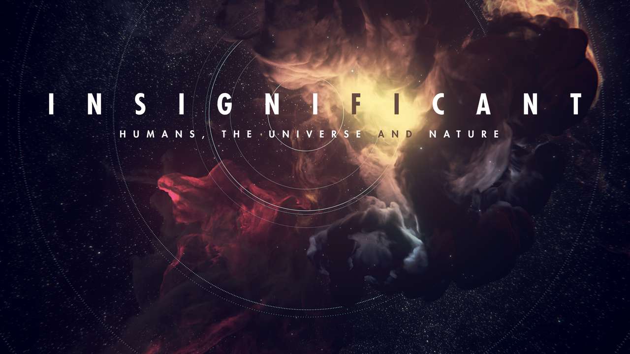 Insignificant - Ulule