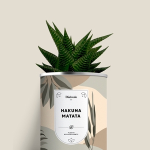 Plante - Hakuna Matata