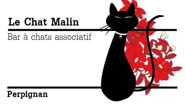 Le Chat Malin Ulule