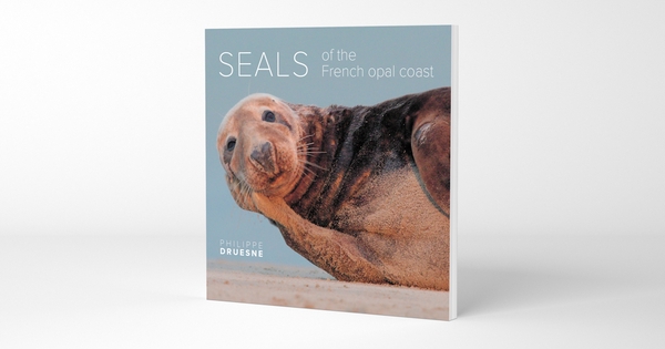SEALS of the French Opal coast - Ulule