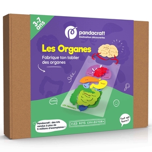 Coffret ludo-éducatif LES ORGANES (3-7 ans)