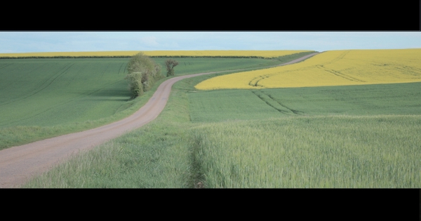 Idée Page De Garde Avec Plumes