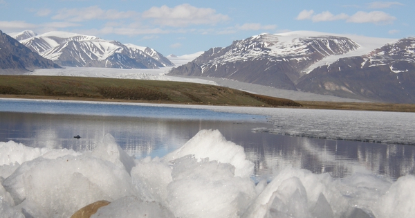 projet de biome arctique