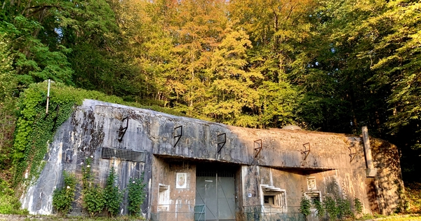 Création d'un musée des combats de l'ouvrage du Michelsberg Ulule