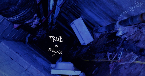 True or false.