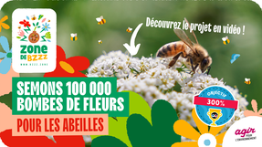 Semons 100 000 bombes de fleurs pour les abeilles