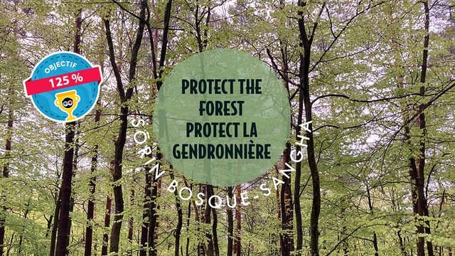 let-s-protect-the-forest-let-s-protect-la-genronniere-ulule