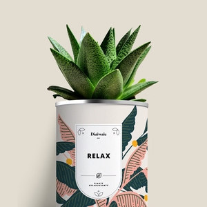 Plante - Relax
