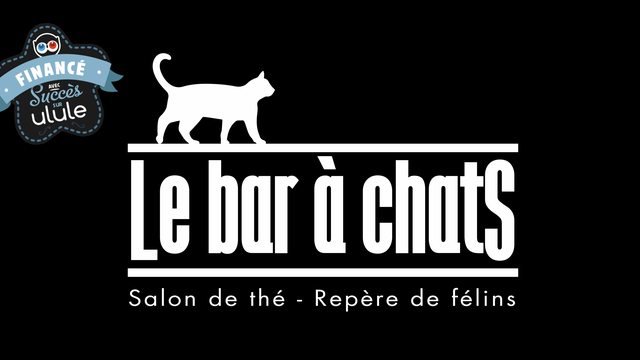 Le Bar A Chats Perpignan Ulule