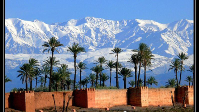 Chat maroc arab
