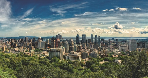 book-montreal-a-citizen-s-guide-to-city-politics