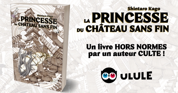 La Princesse Du Château Sans Fin La Princesse du chateau sans fin - Ulule