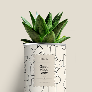 Plante - Good vibes only - Aloé/Cactus