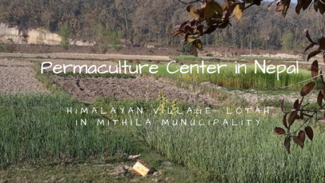 Permaculture Center Lotah Mithila Nepal Ulule