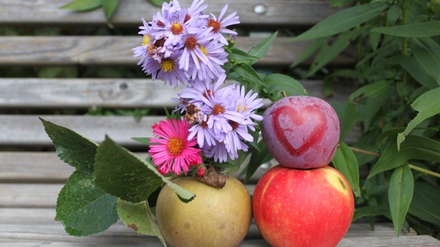 Le Jardin Des Paradis Ulule