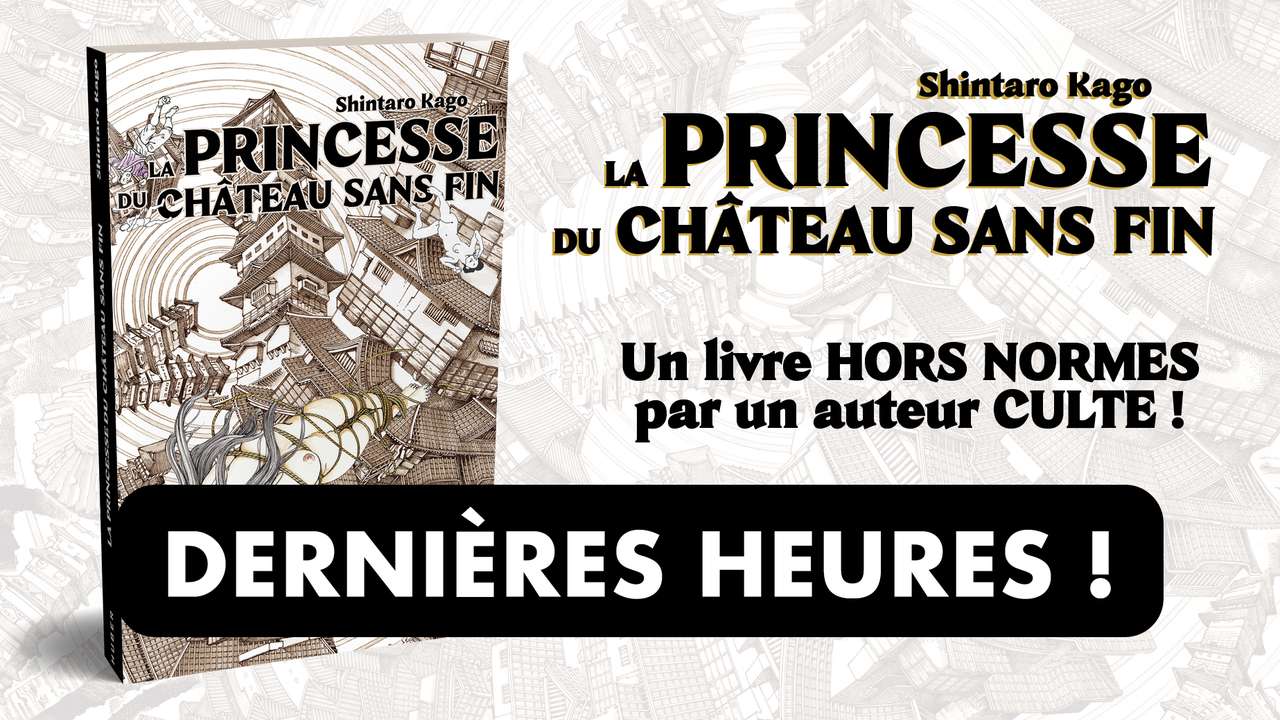 La Princesse Du Château Sans Fin