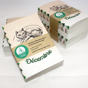 Mes p'tites notes - Lot de 12 carnets pour tout noter tout au long de l’année