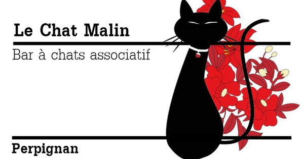 Le Chat Malin Ulule Le Chat Malin Ulule
