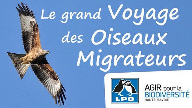 Lpo Le Grand Voyage Des Oiseaux Migrateurs Ulule