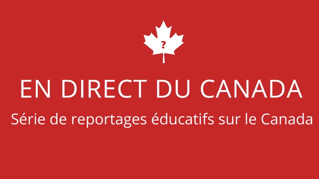 Chat direct coco