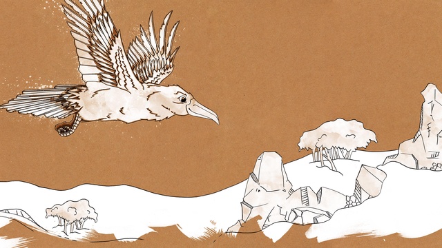 Le Grand Oiseau Blanc Livre Jeunesse Ulule