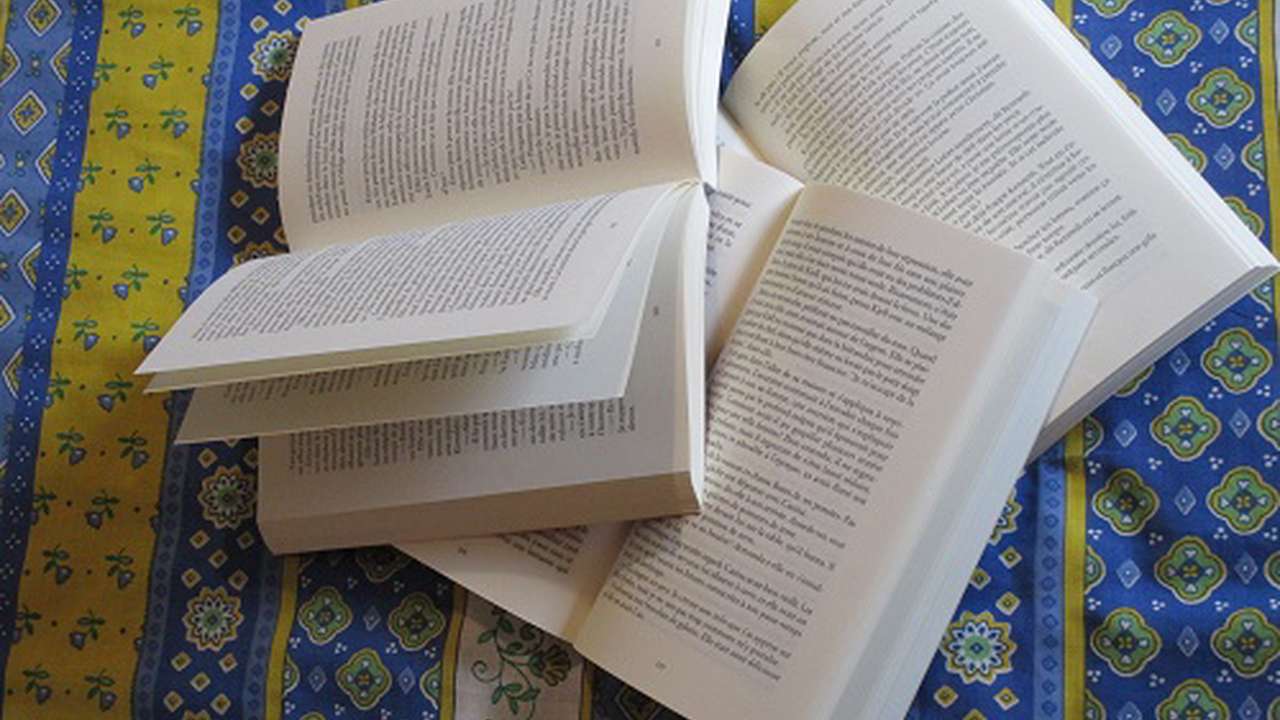 Donner vie à une maison d'édition indépendante - Ulule