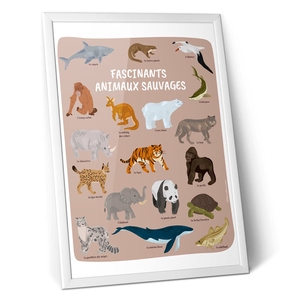 Affiche fascinants animaux sauvages