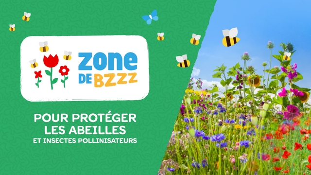 Zone de Bzzz sur la presqu'ile ? Zonedebzzz_fb_1200_2019.0J7zPCxwtH85