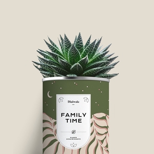 Plante - Family time