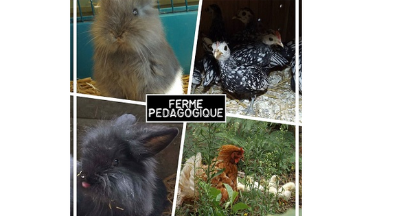 Création De Notre Ferme Pédagogique Ulule Création De Notre Ferme Pédagogique Ulule