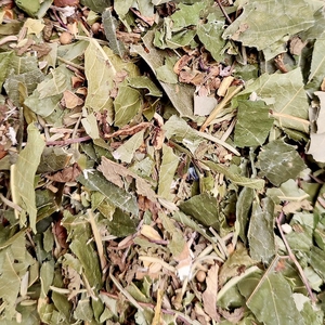 Ventre plat - Tisane en vrac Bio