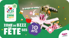 Zone de Bzzz fête ses 10 ans !