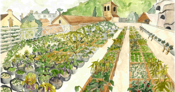 5 investissements pour améliorer votre production en serre - Le  jardinier-maraîcher