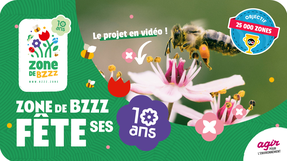 Zone de Bzzz fête ses 10 ans !