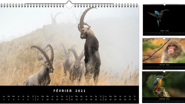 Calendrier Photo 2021 Ulule calendrier 2021 photographe
