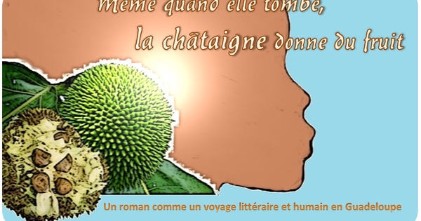 Casse-noix Pour Noix, Pince à Châtaigne, Ouvre-noix Portable En Acier Pour Châtaigne, Pince à Noix Avec Poignée Antidérapante, Outil Pour Casser Les