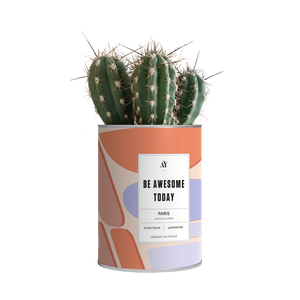 AŸ Cactus - Be awesome today