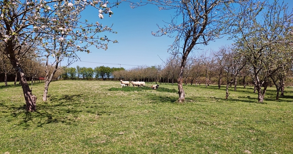 co-lieu-caen-bivouac-permaculture-mini-ferme-ulule
