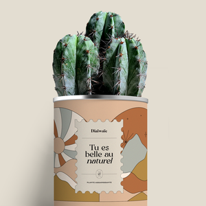 Plante - Tu es belle au naturel - Aloé/Cactus