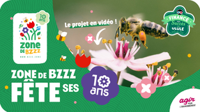 Zone de Bzzz fête ses 10 ans !