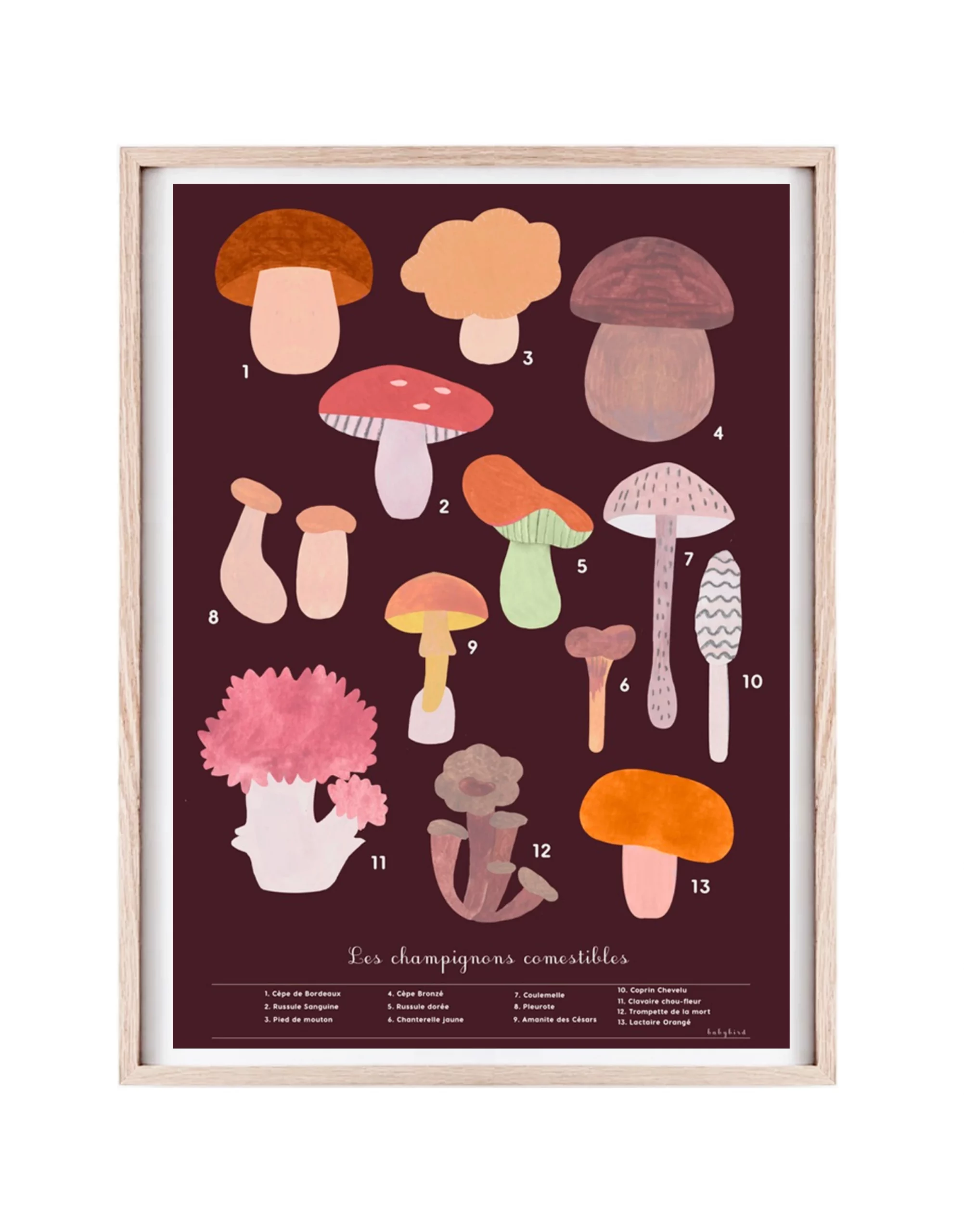 Affiche - sans cadre - "Apprendre à reconnaître les champignons comestibles"