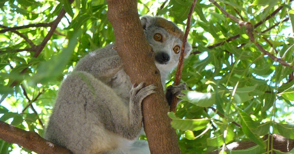 MADAGASCAR, Antsirabé